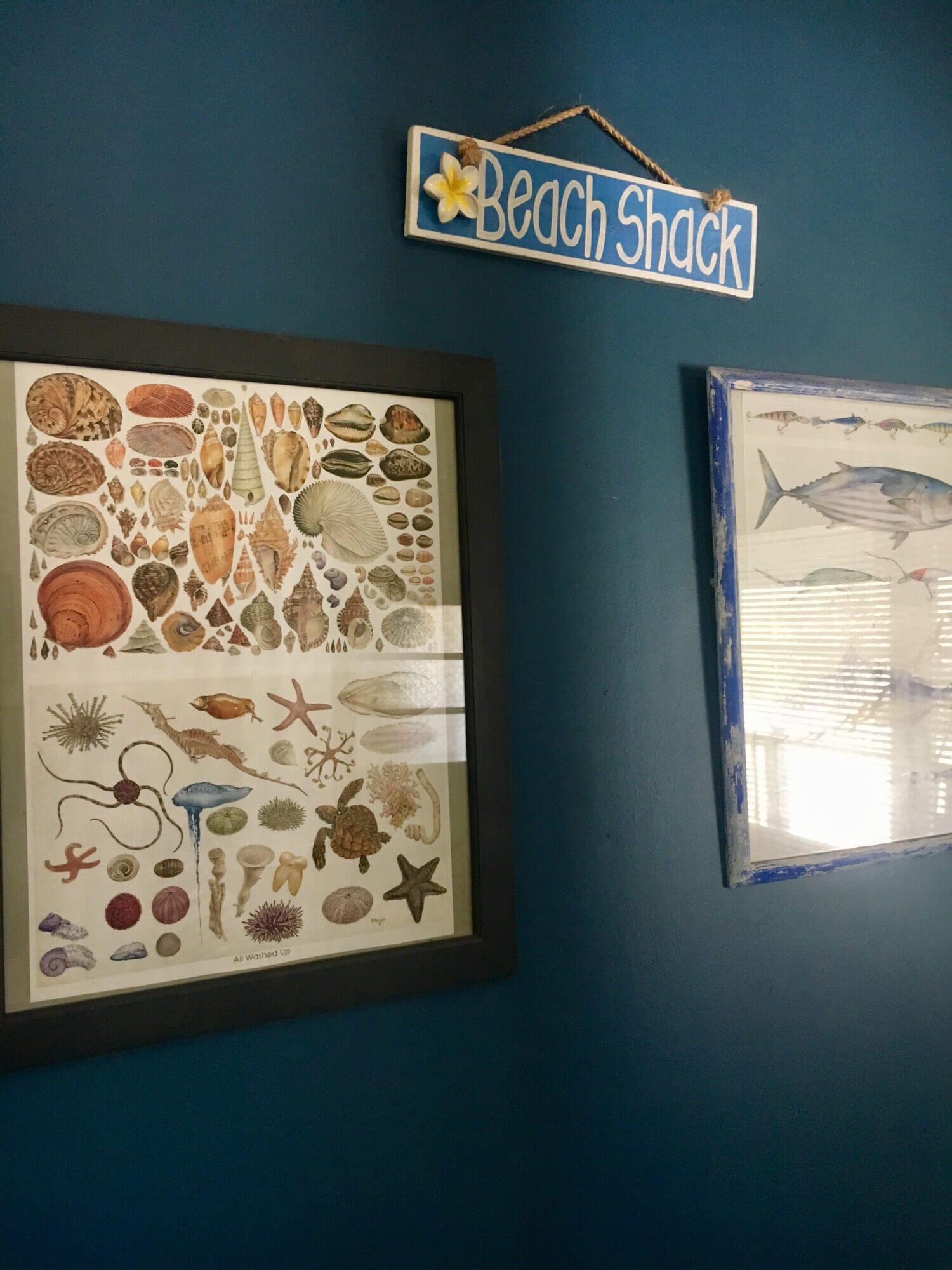 Weekender - Accommodation in Bremer Bay - 21 Barbara Street. Beach decor throughout the house