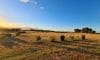 Outside View - Block 785 - Accommodation in Bremer Bay - Lot 785 Freeman Drive Bremer Bay