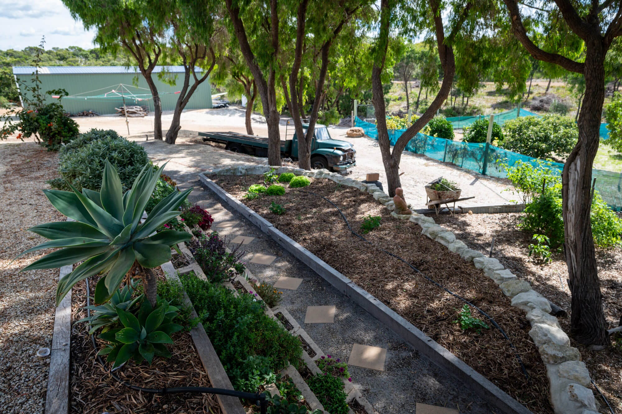 Blossoms - 55 Gneiss Hill Road Bremer Bay - Backyard