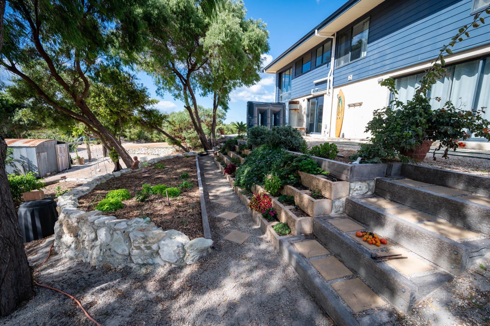 Blossoms - 55 Gneiss Hill Road Bremer Bay - Backyard