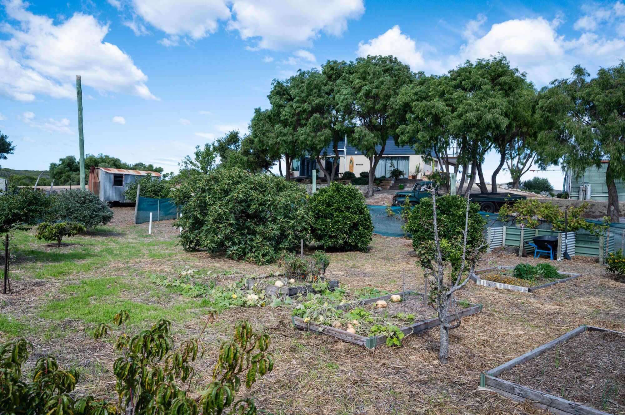 Blossoms - 55 Gneiss Hill Road Bremer Bay - Backyard Garden