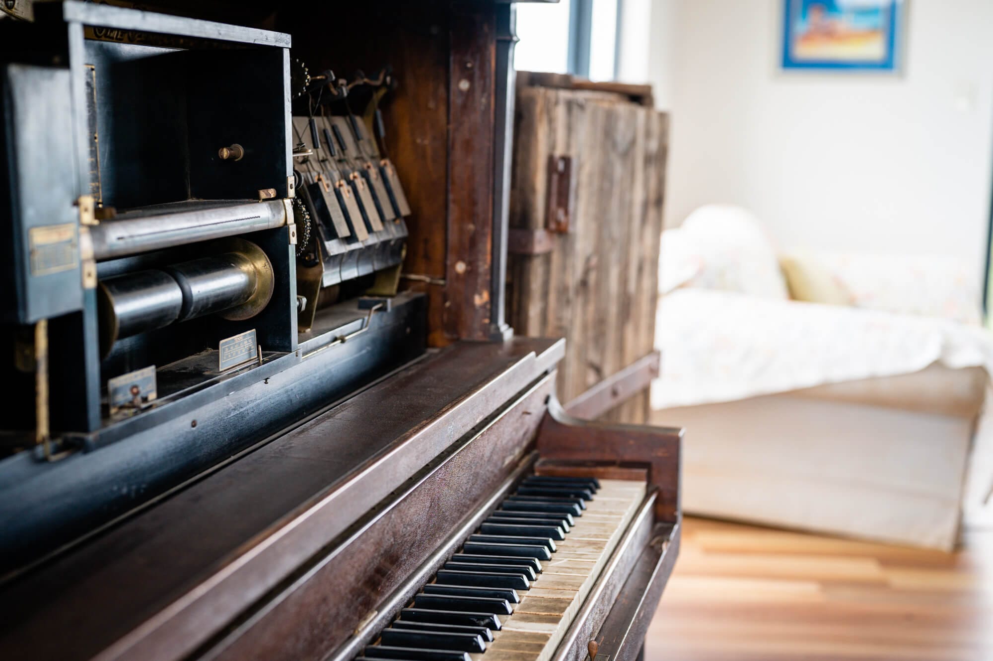 Blossoms - 55 Gneiss Hill Road Bremer Bay - Piano