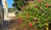 Family-Tides-14-Margaret-Street-Bremer-Bay-Side-Garden
