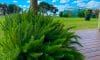 Block 785 - Accommodation in Bremer Bay - Lot 785 Freeman Drive Bremer Bay