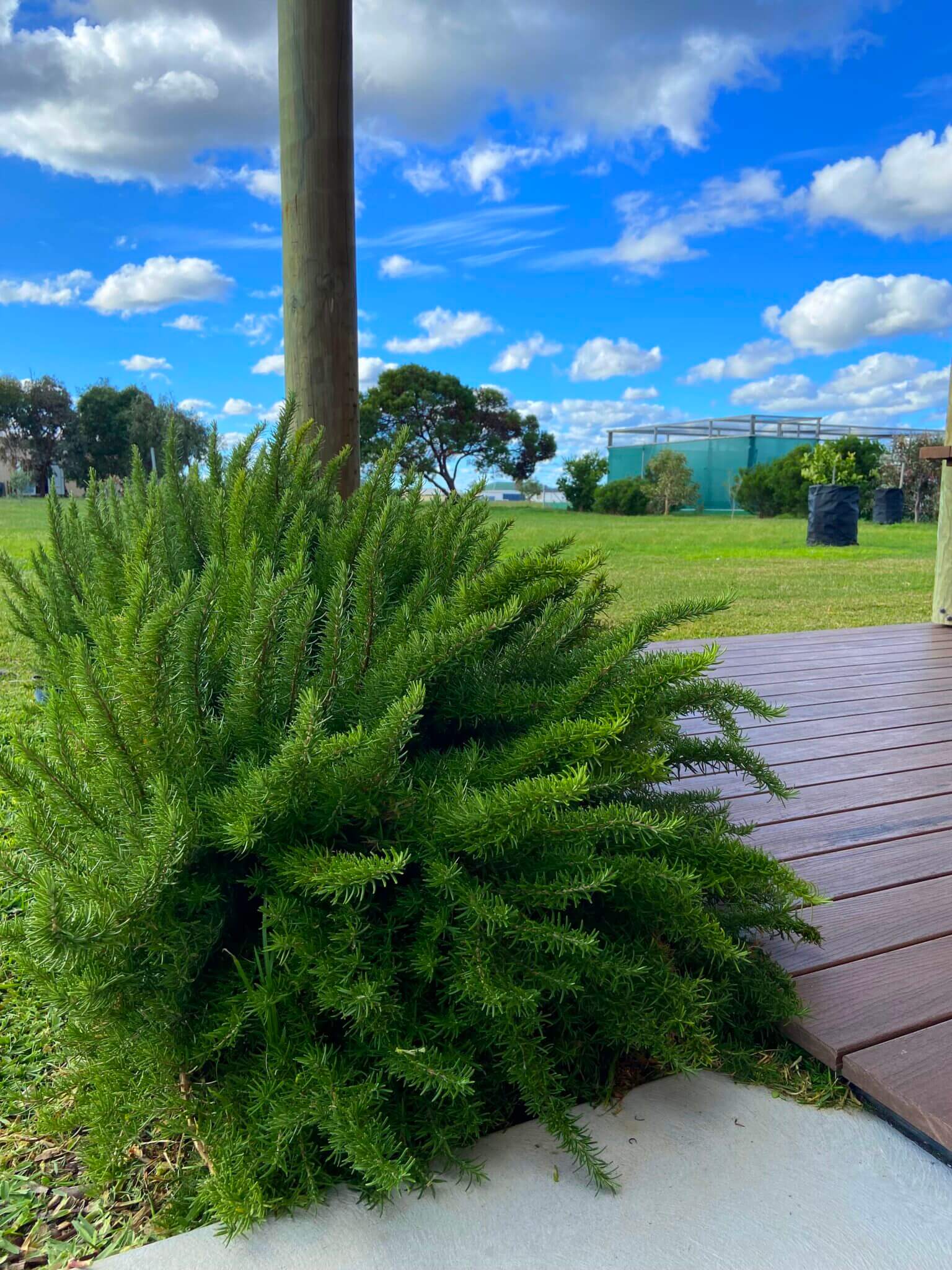 Block 785 - Accommodation in Bremer Bay - Lot 785 Freeman Drive Bremer Bay