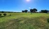 Block 785 - Accommodation in Bremer Bay - Lot 785 Freeman Drive Bremer Bay